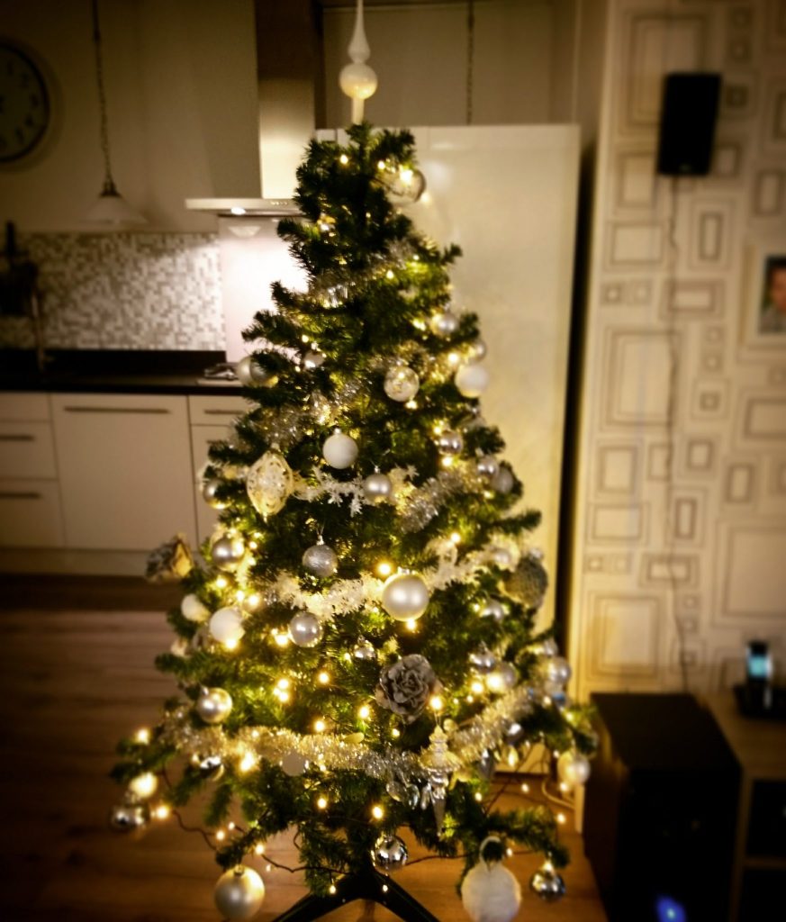 Onze kerstboom