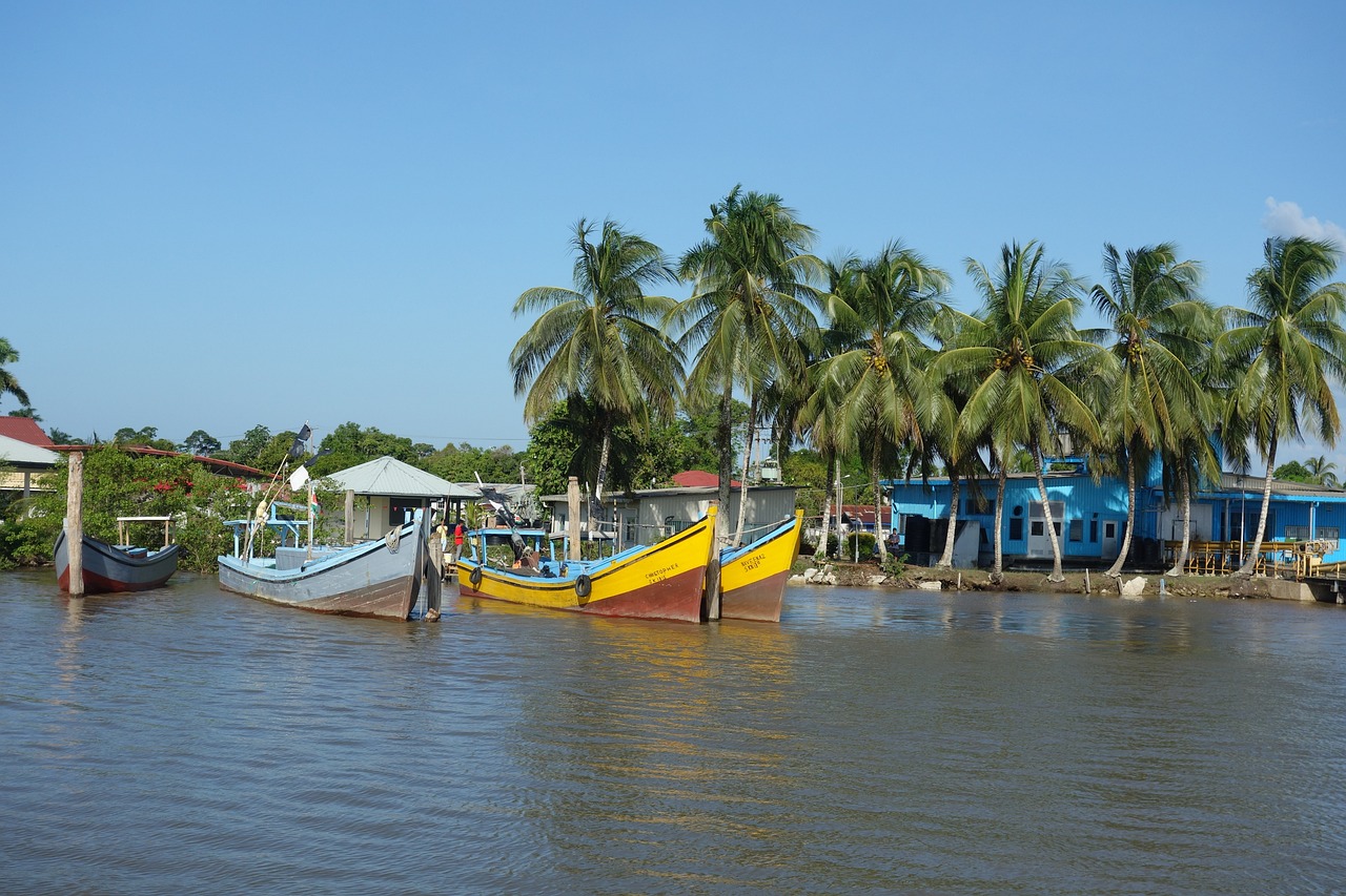 Boten in Suriname met palmbomen op de achtergrond.